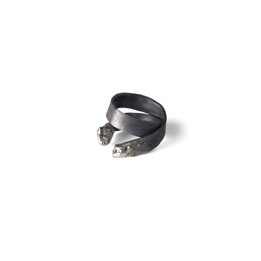Eternal Flesh Ring